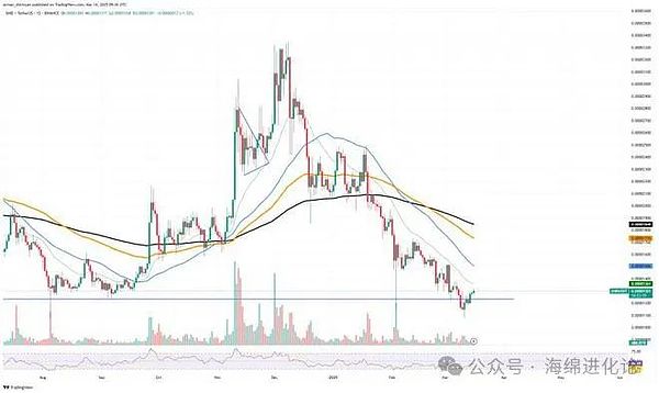 SHIB即将迎来爆发周？这三个关键信号不可忽视