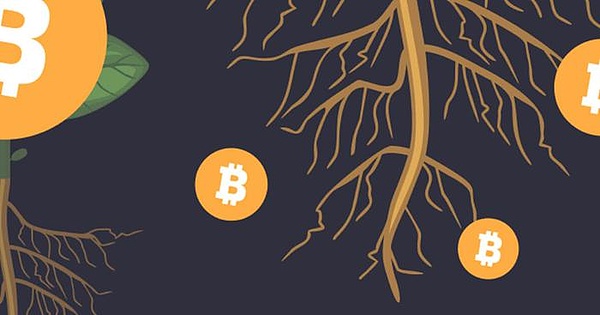 MixTrust：Web3时代的数字身份守护者